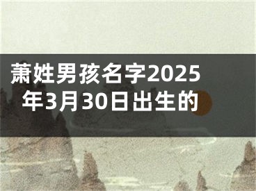 萧姓男孩名字2025年3月30日出生的