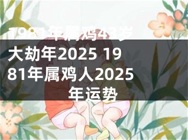 1981年属鸡43岁大劫年2025 1981年属鸡人2025年运势