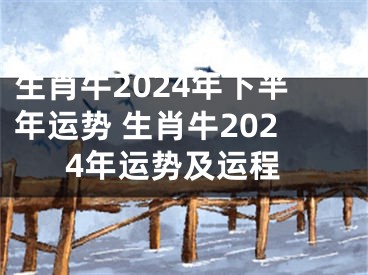 生肖牛2024年下半年运势 生肖牛2024年运势及运程