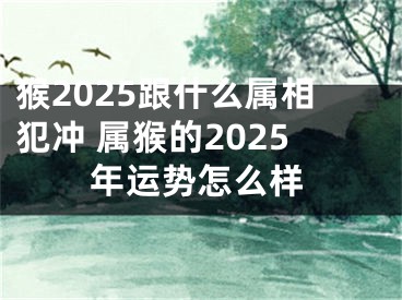 猴2025跟什么属相犯冲 属猴的2025年运势怎么样