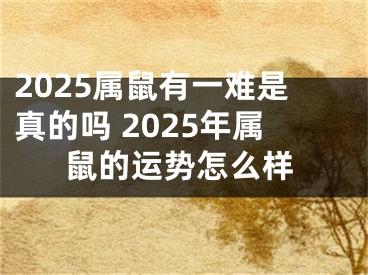 2025属鼠有一难是真的吗 2025年属鼠的运势怎么样