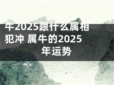 牛2025跟什么属相犯冲 属牛的2025年运势