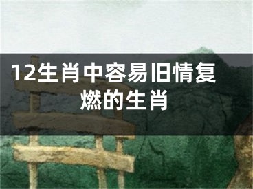 12生肖中容易旧情复燃的生肖