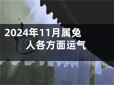 2024年11月属兔人各方面运气