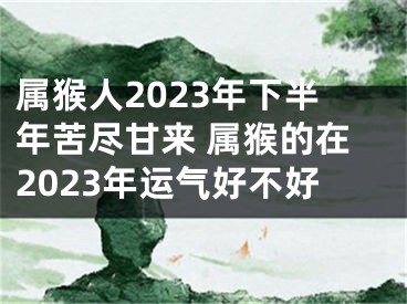 属猴人2023年下半年苦尽甘来 属猴的在2023年运气好不好