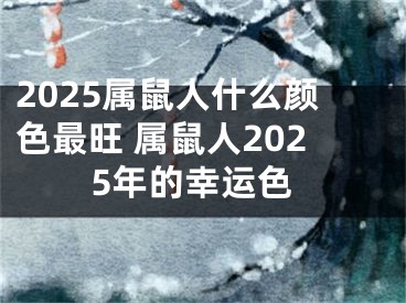 2025属鼠人什么颜色最旺 属鼠人2025年的幸运色
