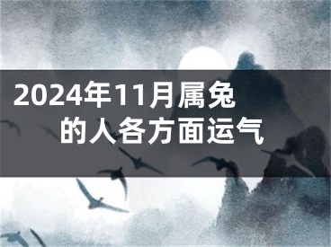2024年11月属兔的人各方面运气