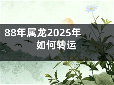 88年属龙2025年如何转运