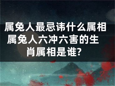 属兔人最忌讳什么属相 属兔人六冲六害的生肖属相是谁?
