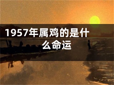 1957年属鸡的是什么命运