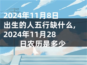 2024年11月8日出生的人五行缺什么,2024年11月28日农历是多少