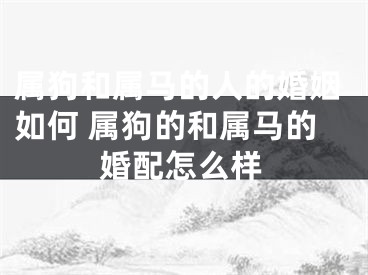 属狗和属马的人的婚姻如何 属狗的和属马的婚配怎么样
