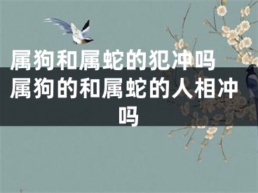 属狗和属蛇的犯冲吗 属狗的和属蛇的人相冲吗