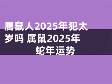 属鼠人2025年犯太岁吗 属鼠2025年蛇年运势