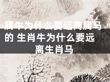 属牛为什么要远离属马的 生肖牛为什么要远离生肖马
