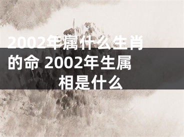 2002年属什么生肖的命 2002年生属相是什么