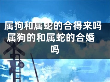 属狗和属蛇的合得来吗 属狗的和属蛇的合婚吗