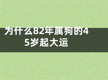 为什么82年属狗的45岁起大运 