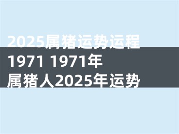 2025属猪运势运程1971 1971年属猪人2025年运势
