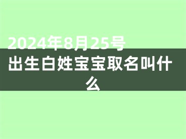 2024年8月25号出生白姓宝宝取名叫什么