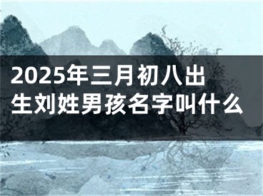 2025年三月初八出生刘姓男孩名字叫什么