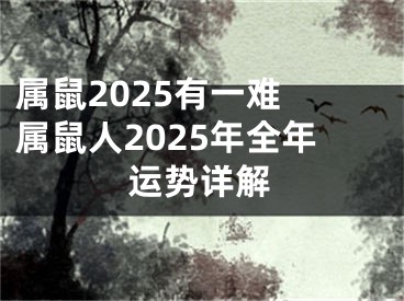 属鼠2025有一难 属鼠人2025年全年运势详解