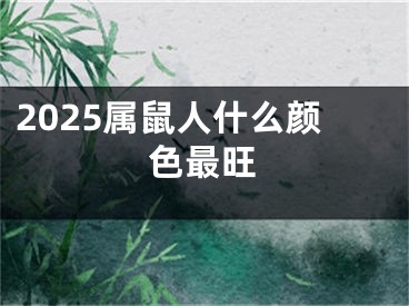 2025属鼠人什么颜色最旺