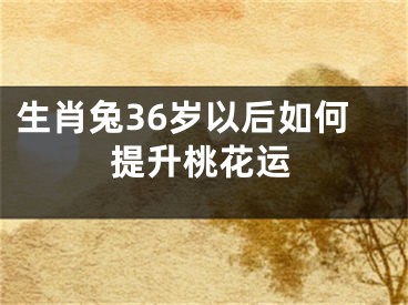 生肖兔36岁以后如何提升桃花运