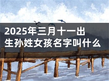 2025年三月十一出生孙姓女孩名字叫什么