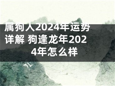 属狗人2024年运势详解 狗逢龙年2024年怎么样