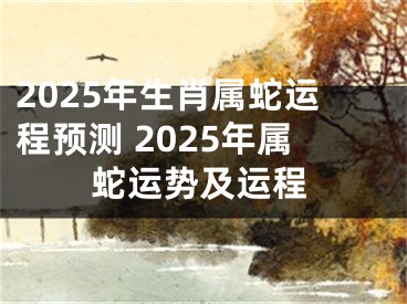 2025年生肖属蛇运程预测 2025年属蛇运势及运程