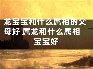 龙宝宝和什么属相的父母好 属龙和什么属相宝宝好