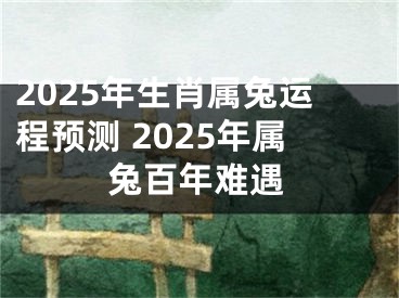 2025年生肖属兔运程预测 2025年属兔百年难遇