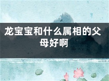 龙宝宝和什么属相的父母好啊