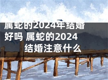 属蛇的2024年结婚好吗 属蛇的2024结婚注意什么