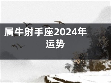 属牛射手座2024年运势