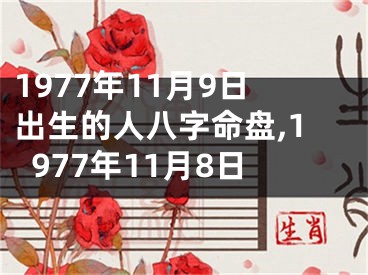 1977年11月9日出生的人八字命盘,1977年11月8日