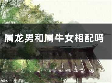 属龙男和属牛女相配吗