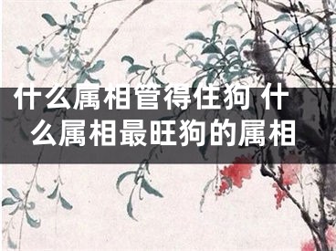 什么属相管得住狗 什么属相最旺狗的属相