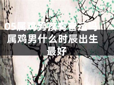 05属鸡男孩有官运吗 属鸡男什么时辰出生最好