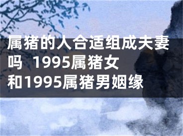 属猪的人合适组成夫妻吗  1995属猪女和1995属猪男姻缘