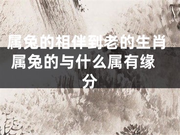 属兔的相伴到老的生肖 属兔的与什么属有缘分
