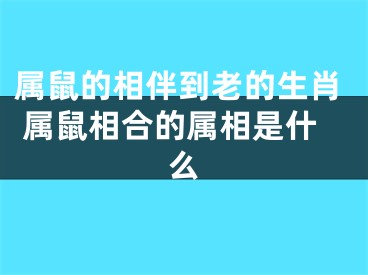 属鼠的相伴到老的生肖 属鼠相合的属相是什么