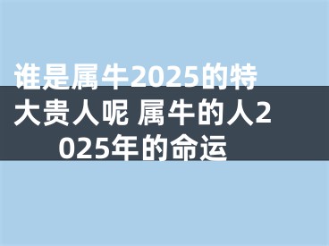 谁是属牛2025的特大贵人呢 属牛的人2025年的命运