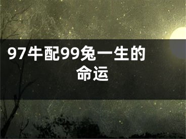 97牛配99兔一生的命运