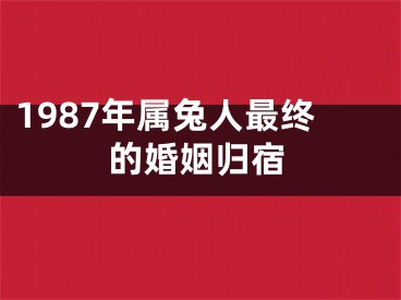 1987年属兔人最终的婚姻归宿