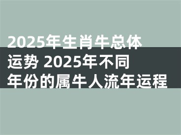 2025年生肖牛总体运势 2025年不同年份的属牛人流年运程