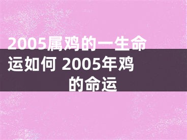 2005属鸡的一生命运如何 2005年鸡的命运