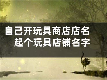 自己开玩具商店店名 起个玩具店铺名字
