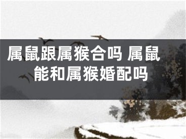 属鼠跟属猴合吗 属鼠能和属猴婚配吗